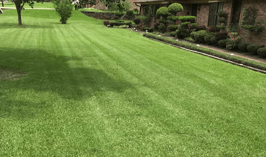 Lawn Mowing