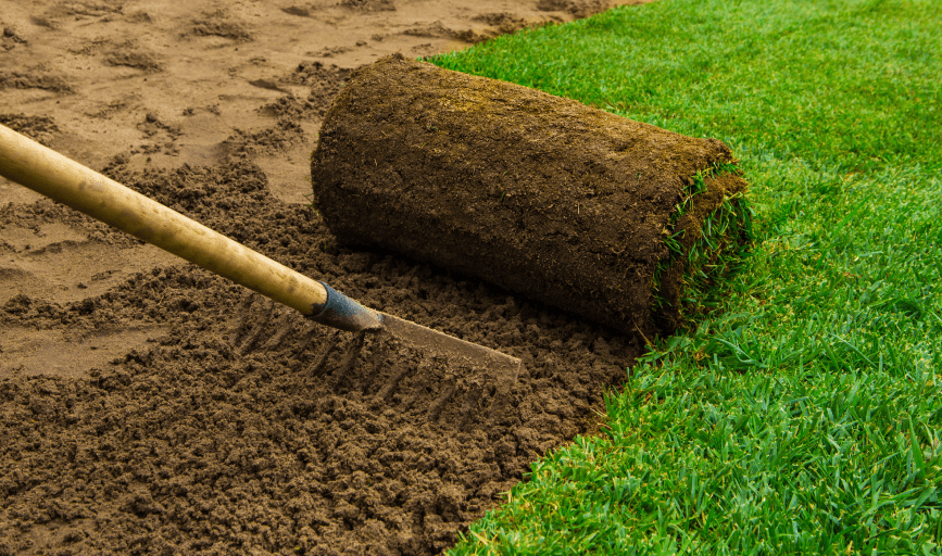 Sod Installation