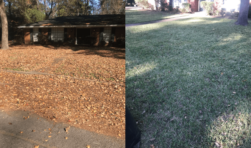 Yard Cleanup